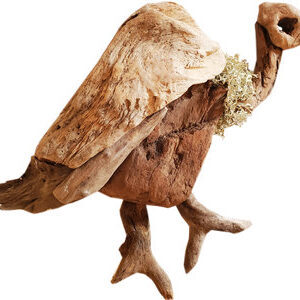 Accueil Nez crophage