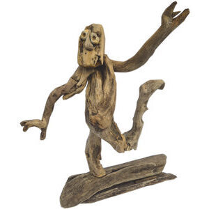 Accueil Surf session